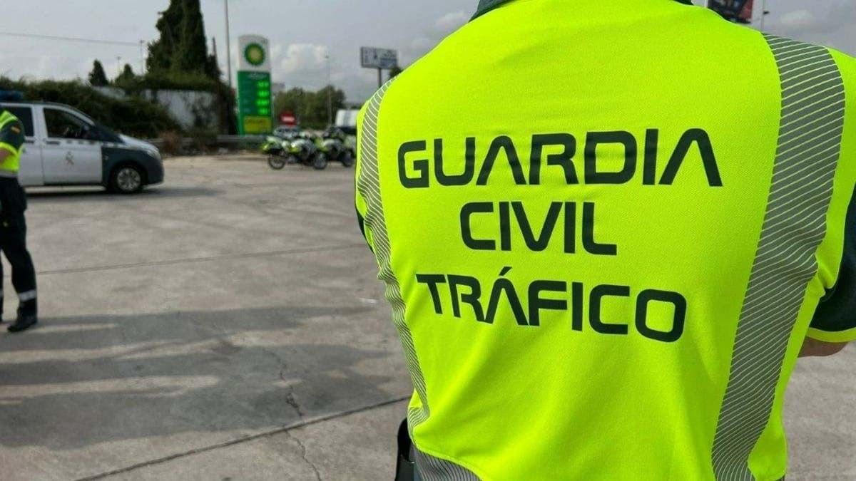 Un agente de la Guardia Civil de Tráfico en un control.