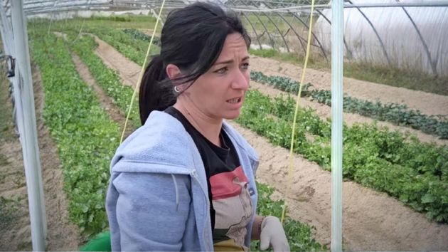 Una agricultora habla claro sobre poco rentable que es vivir del campo en España: “Preferí tirarla antes que venderla a pérdidas”