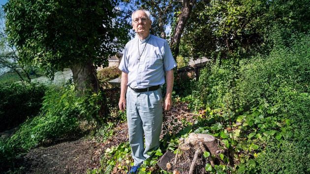 Un vicario jubilado reclama 35.000 euros a una residencia de ancianos que taló por error su árbol: sospecha que fue para que se viera el cartel