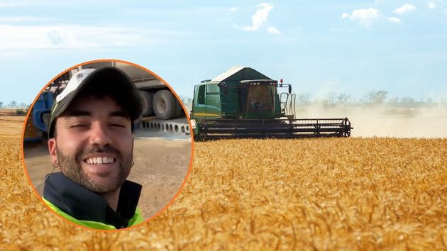 Un joven agricultor español revela cuánto gana en Australia: “En las semanas de más trabajo puedes llegar a cobrar más de 3.000 dólares”