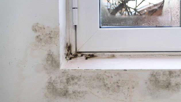 Adiós al moho y la condensación en las ventanas: este es el método más efectivo para evitarlo este otoño
