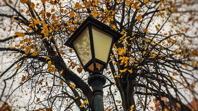 Precio de la luz martes, 4 de noviembre de 2025 por horas: cuándo es más barata y más cara en el día en el mercado mayorista	