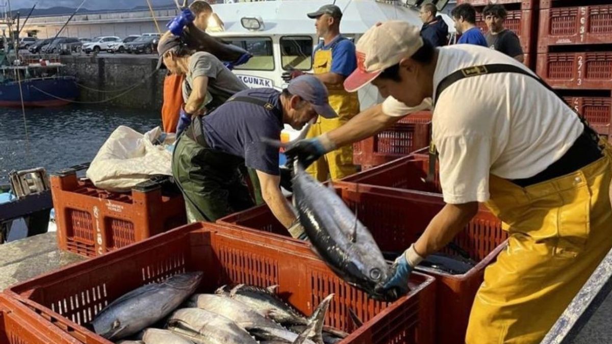 Varios pescadores recogen pescado en el barco