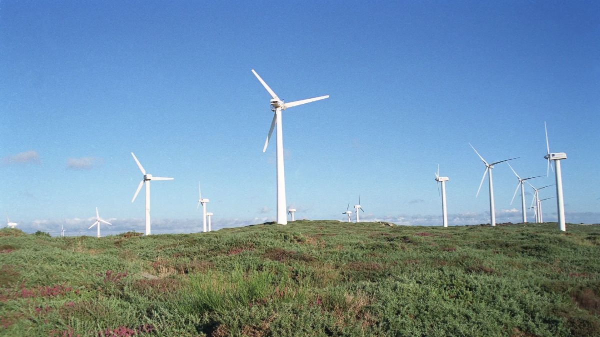 parque energia eolica españa
