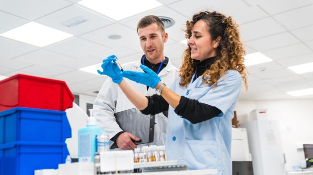 Ofertas de empleo del 12 de noviembre en España: últimas vacantes en el sector público y privado