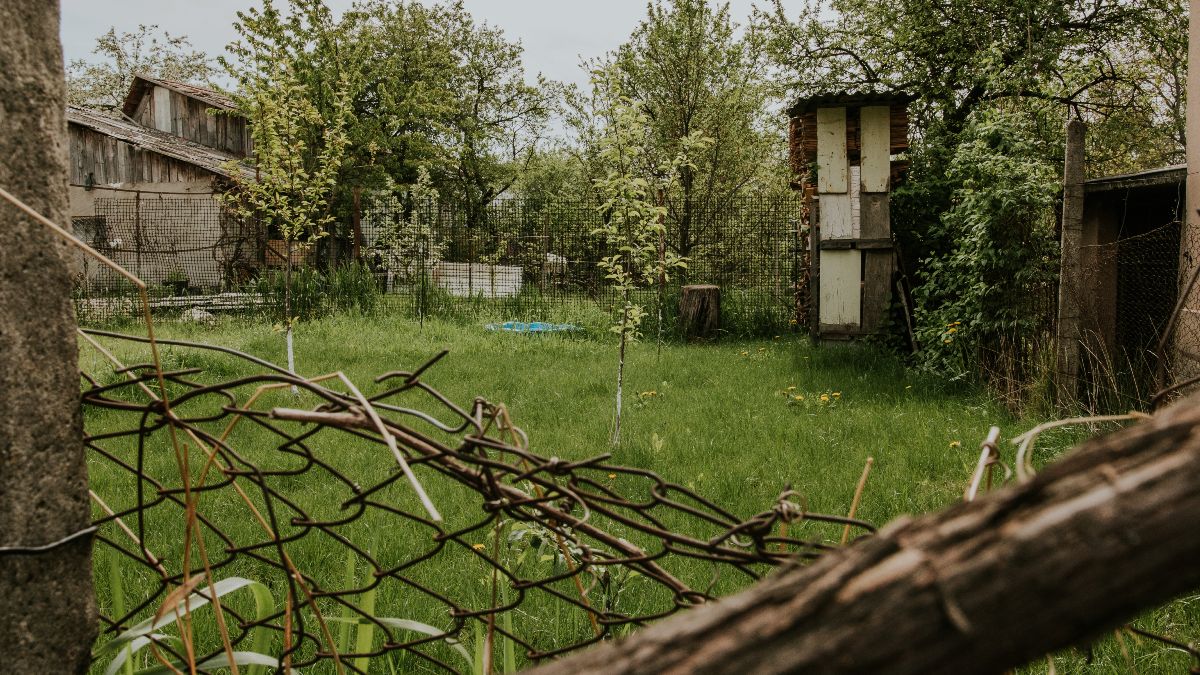 El jardín de una casa con maleza