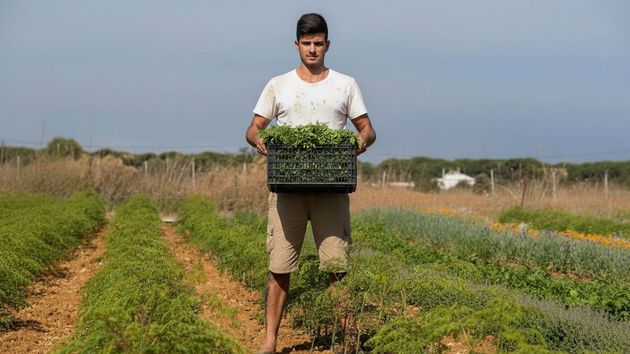 Sebastián, el joven que ha cambiado la albañilería por la agricultura: “En la obra ganas unos 1.500 euros, en el campo 2.500 sin ser tan duro físicamente”