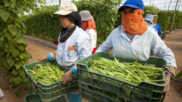 Europa aprueba la creación de una bolsa de empleo para contratar a los migrantes desde sus países de origen