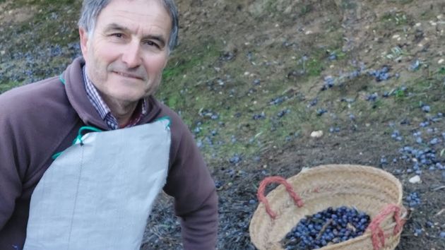 Jaro, agricultor del olivar de 63 años, sobre su primer sueldo con 11 años: "Con 150 pesetas, 0.90 euros, ya me sentía un hombre trabajando en el olivar"