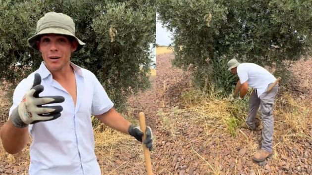 Mario (22 años), agricultor: “En campaña puedes ganar unos 70 euros al día, es decir, unos 1.540 euros al mes, pero no encuentro españoles que quieran trabajar”
