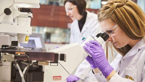 NoticiasTrabajo con Philip Morris