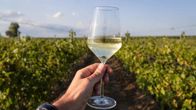 Una mano sostiene una copa de vino blanco.