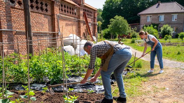 Una heredera denuncia a los 'okupas' de la casa que heredó con sus hermanos por instalarse allí, hacer obras y un huerto: la justicia los multa y ordena su desalojo