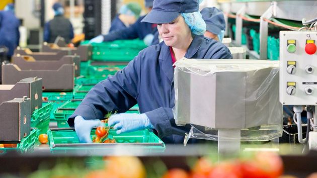 Una trabajadora de una envasadora 