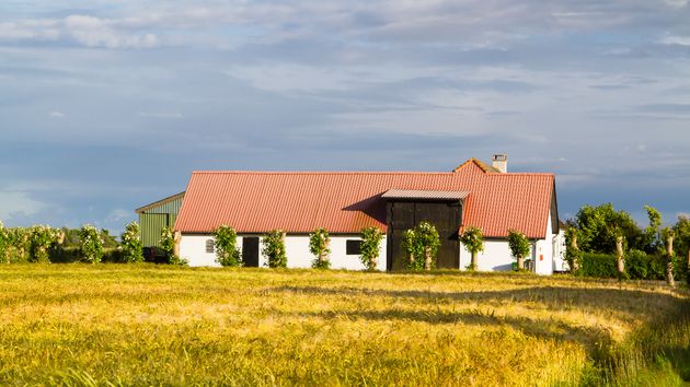 Una casa rodeada de campo