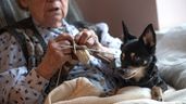 Una anciana tejiendo junto a su perro
