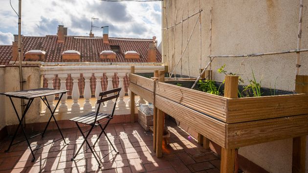 Un huerto urbano en una terraza
