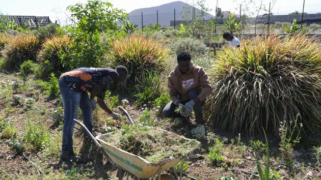 trabajadores del campo