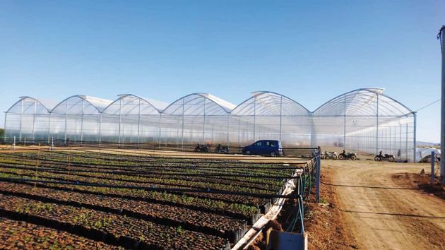 Invernadero en Marruecos