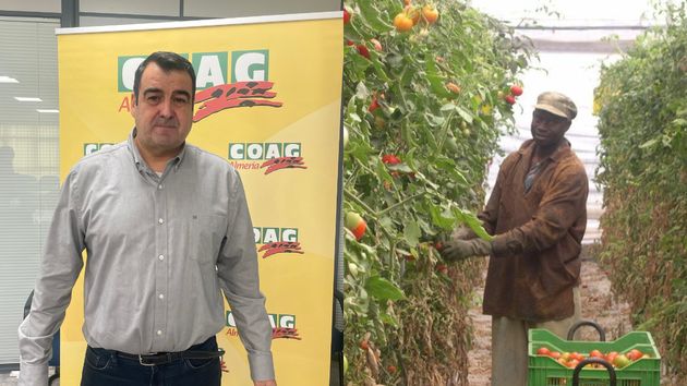 Andrés Góngora e inmigrante trabajando invernadero