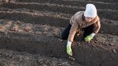 Una mujer trabajando en el campo