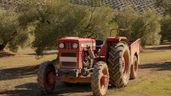 un tractor antiguo en un campo