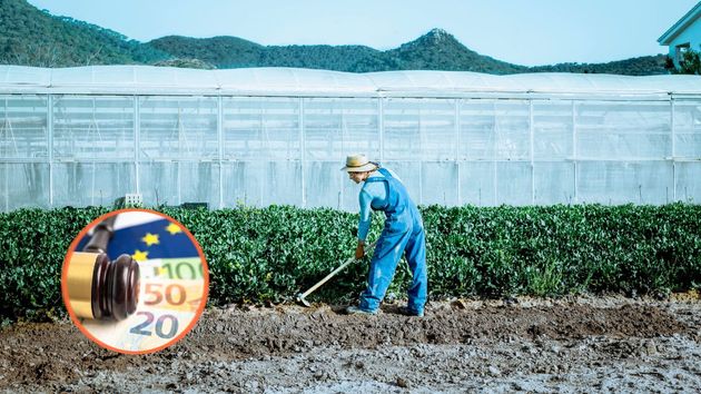 Una mujer azando el campo 