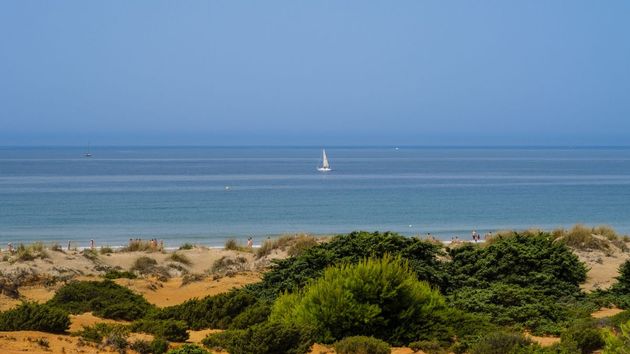 Playa de La Barrosa, en Chiclana de la Frontera