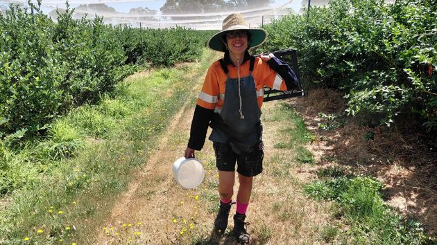nerea temporera española australia