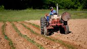 agricultor conduciendo tractor