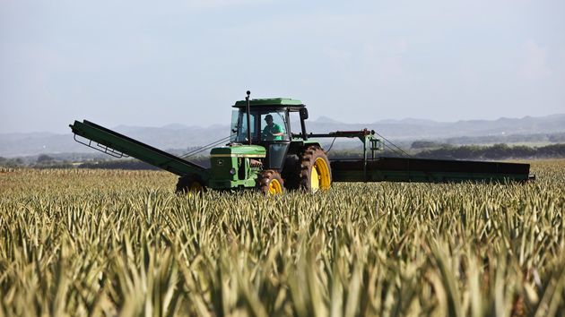 Un agricultor trabajando en el campo.