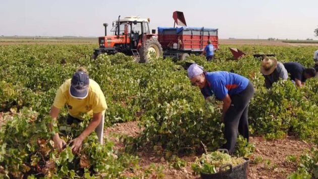 Temporeros trabajando