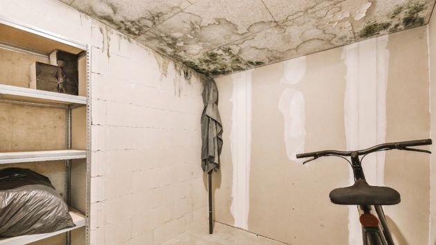 Un trastero con humedades 