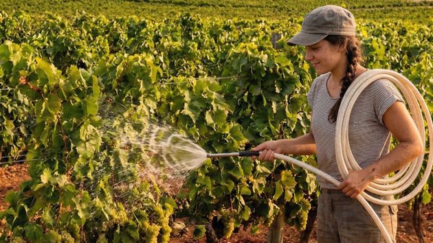 una agricultora joven regando
