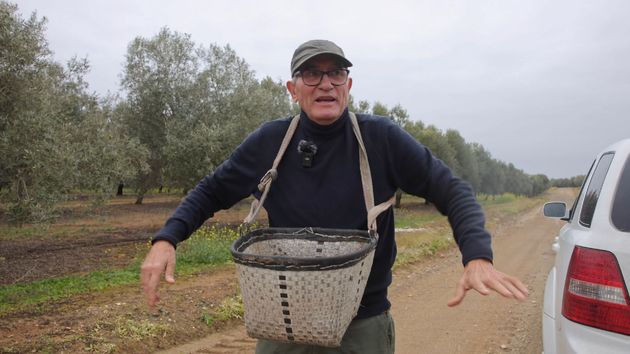 Diego Cañamero en los olivos
