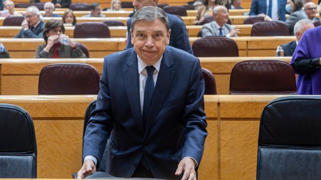 El ministro de Agricultura, Pesca y Alimentación, Luis Planas