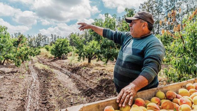 Imagen de un agricultor.