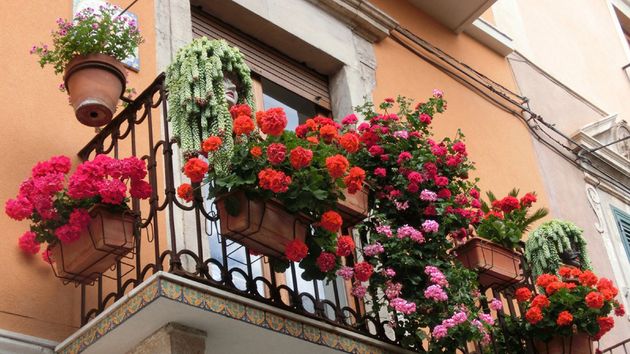 Un balcón con macetas.