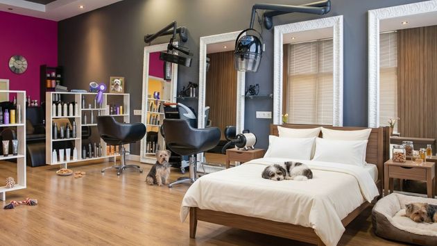 Imagen ilustrativa de una peluquería