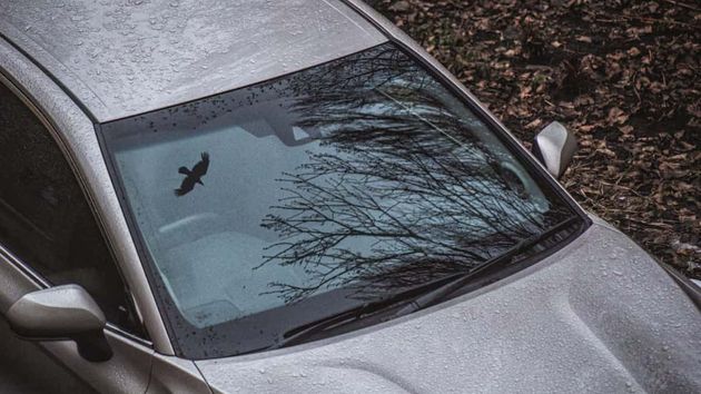 Parabrisas de un coche