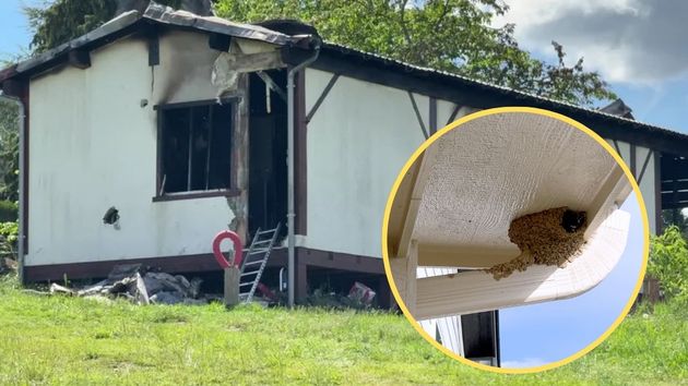 Un hombre intenta destruir un avispero y acaba incendiando su casa que queda inhabitable: su pareja embarazada termina en el hospital