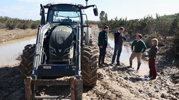 Ya es oficial: ayudas de entre 5.000 y 25.000 euros para agricultores afectados por el mal tiempo
