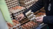 Un hombre cogiendo huevos en una tienda