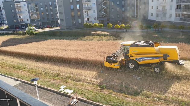 la cosechadora en medio de los edificios