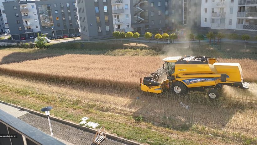 Un agricultor se niega a vender su terreno y ahora cosecha cereal rodeado de edificios y carreteras