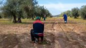 Agricultores en el campo