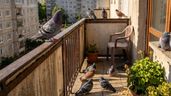 Palomas en una terraza 