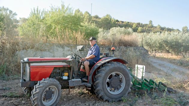 Ya ha entrado en vigor: Hacienda baja los módulos del IRPF a agricultores y ganaderos afectados por circunstancias excepcionales