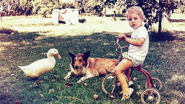 un niño pequeño con un perro y un pato
