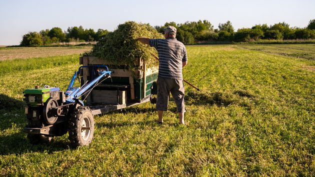 Un agricultor trabajando en su finca 